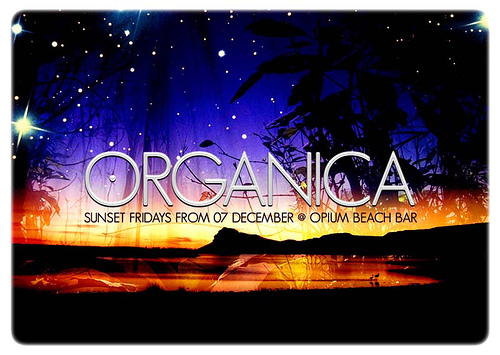 Nightclub Flyer Sample 15 Night Club Flyer - December Sunset Fridays at Beach Bar