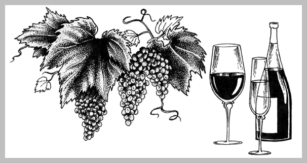 wine menu design 07 Wine Menu Design - Pen and Ink Illustration