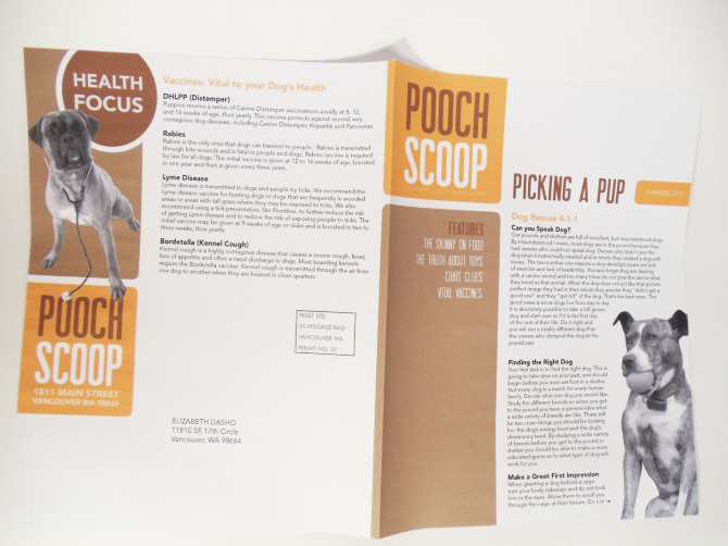 Pooch Scoop Newsletter Inside