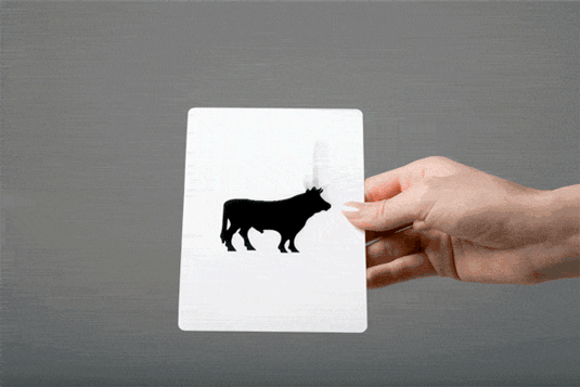 Eszter Laki Eszter Laki lenticular flyer