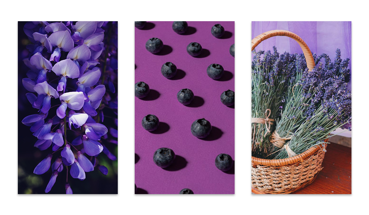 purple logo_purple